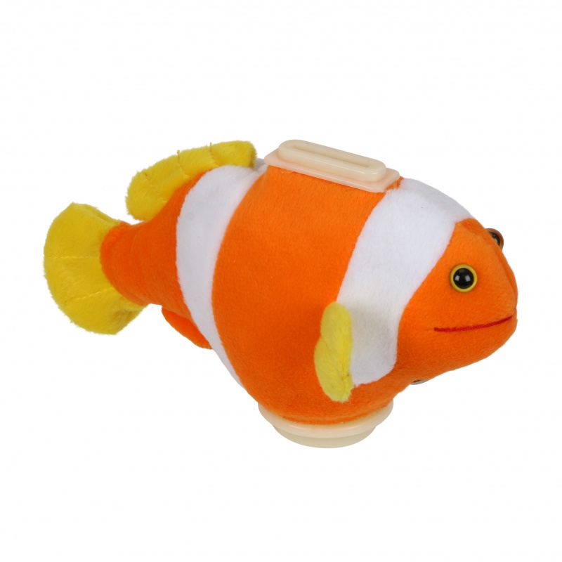 Piggy Bank Clown Fish