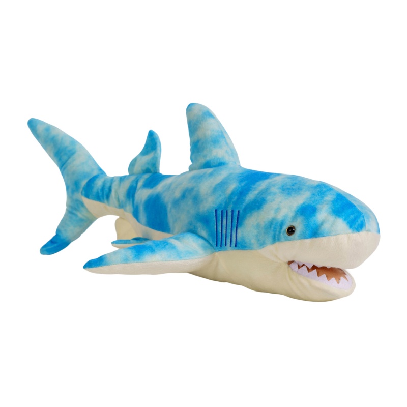 24" Blue Shark