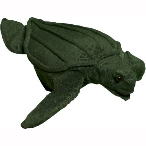 14" Turtle (Leatherback)