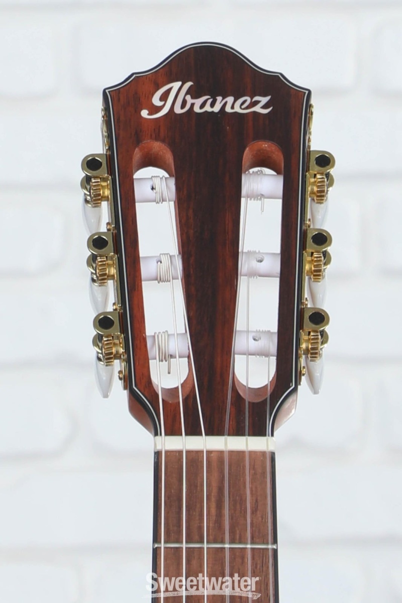 Ibanez　Acoustic-Electric　Thinline　Nylon　Guitar　Natural