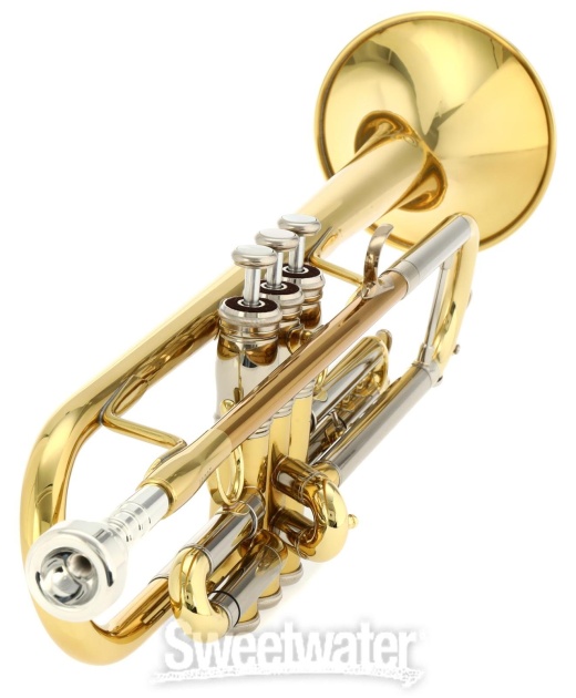 Trumpet Accessory Kit