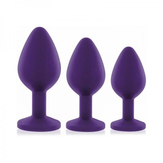 Rianne S 3-Piece Booty Plug Set Purple