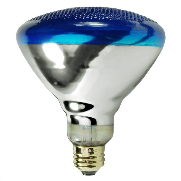 100 Watt - Br38 Light Bulb - Blue