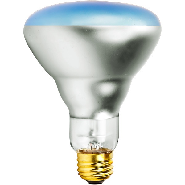 150 Watt - Br30 Incandescent Light Bulb