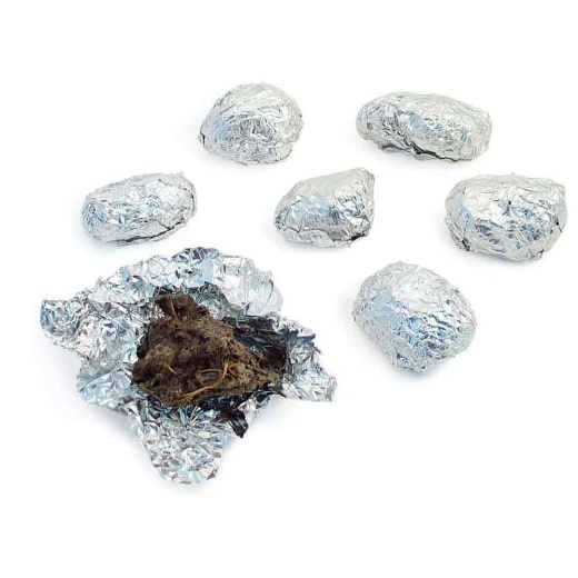 Owl Pellets