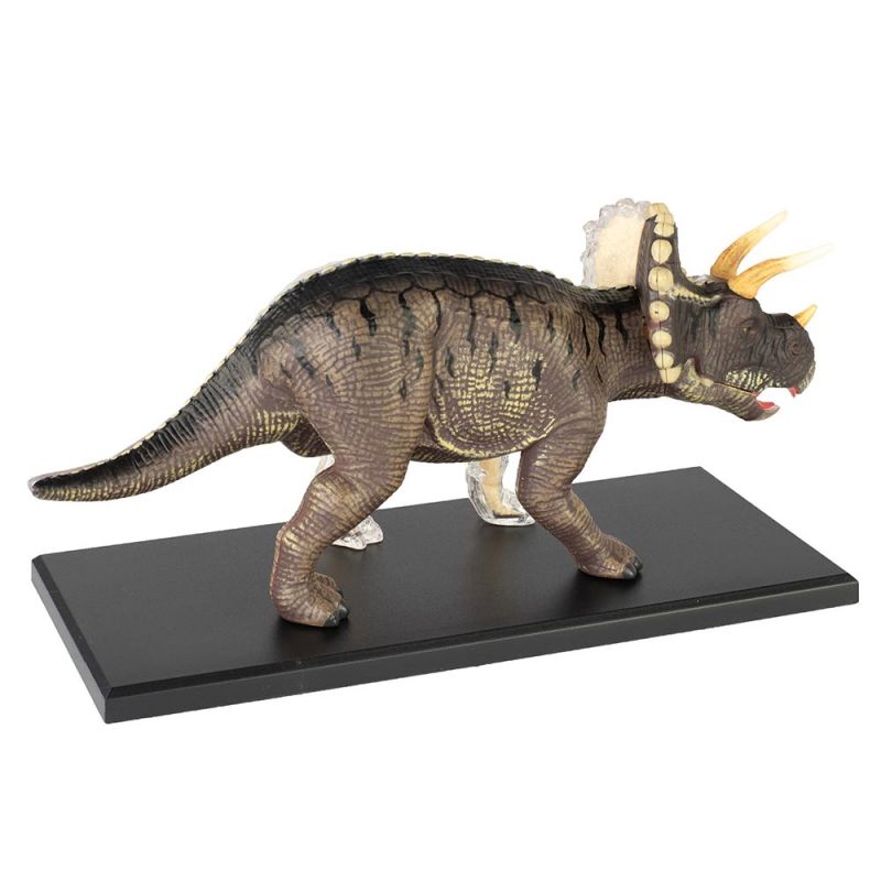 4D Triceratops Vision Model