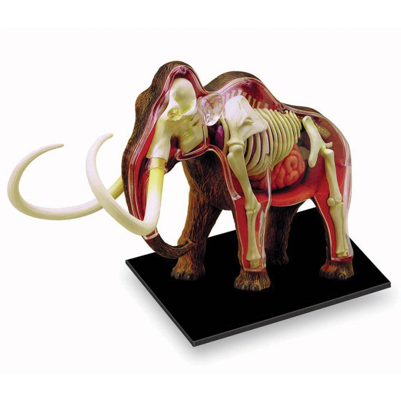 4D Wolly Mammoth