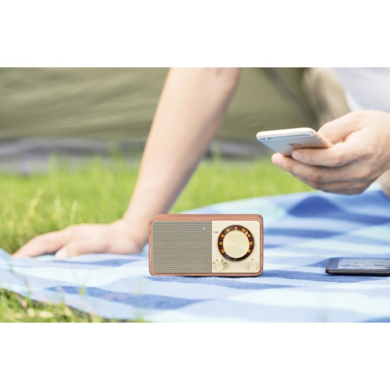 Mini Bluetooth Speaker With Fm Radio