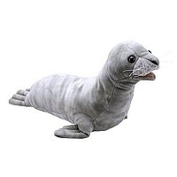 Seal Puppet