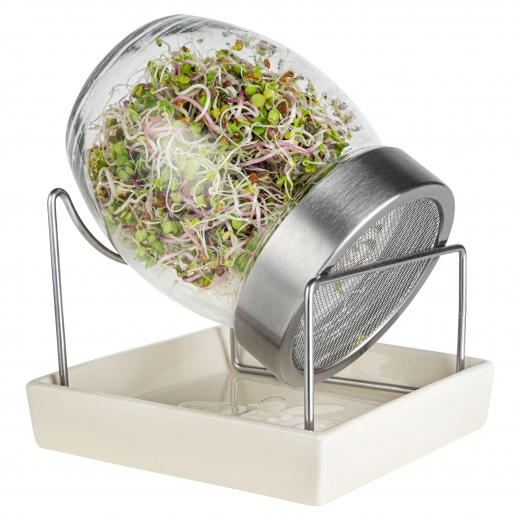 Geo Sprouting Jar System with Stainless Steel Rack and Ceramic Base Plate