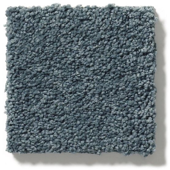 Pet Perfect Pawparazzi II Nimbus Nylon Carpet - Textured