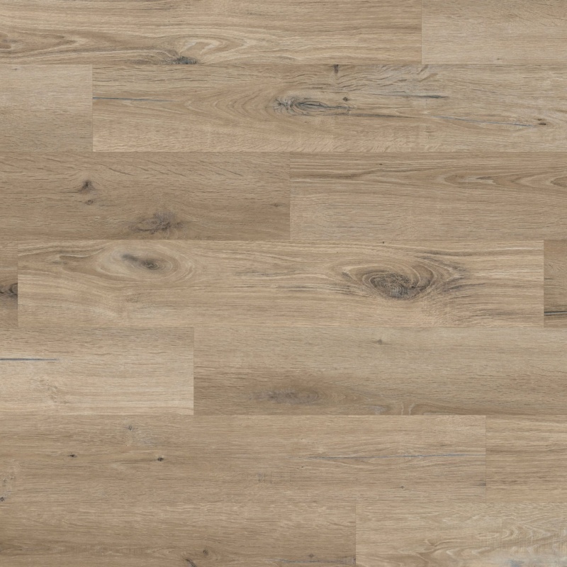 Knight Washed Character Oak Glue Down Luxury Vinyl Tile - Textured - 6" X 36"