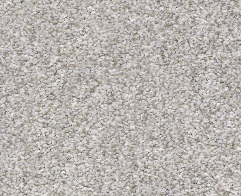 Just Right I Clay Polyester Carpet - Textured