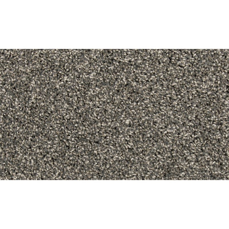 Renovate Iii Steelbeam Polyester Carpet - Textured