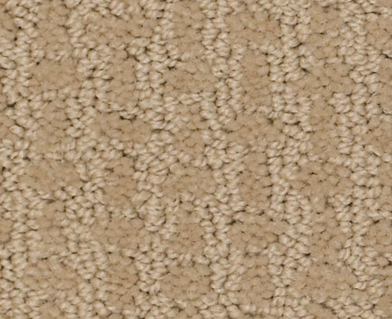 Bold Attitude Biscuit Nylon Carpet