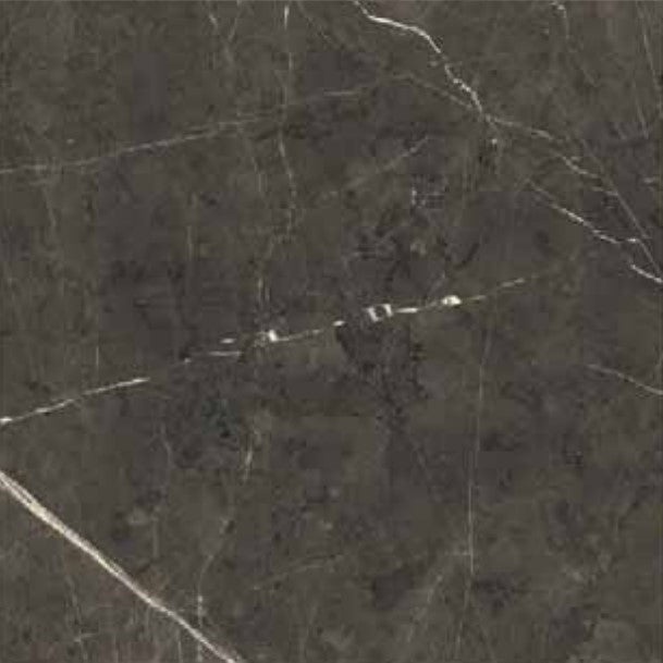 Antique Marble Pantheon Porcelain Tile - Honed - 12" X 24"