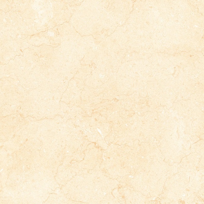 Bejha Fiorito Porcelain Tile - Polished