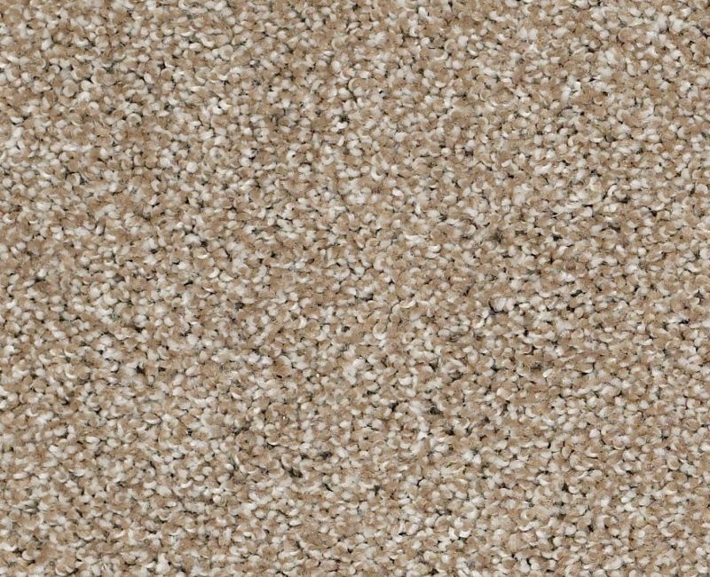 Uncomplicated Mushroom Nylon Carpet
