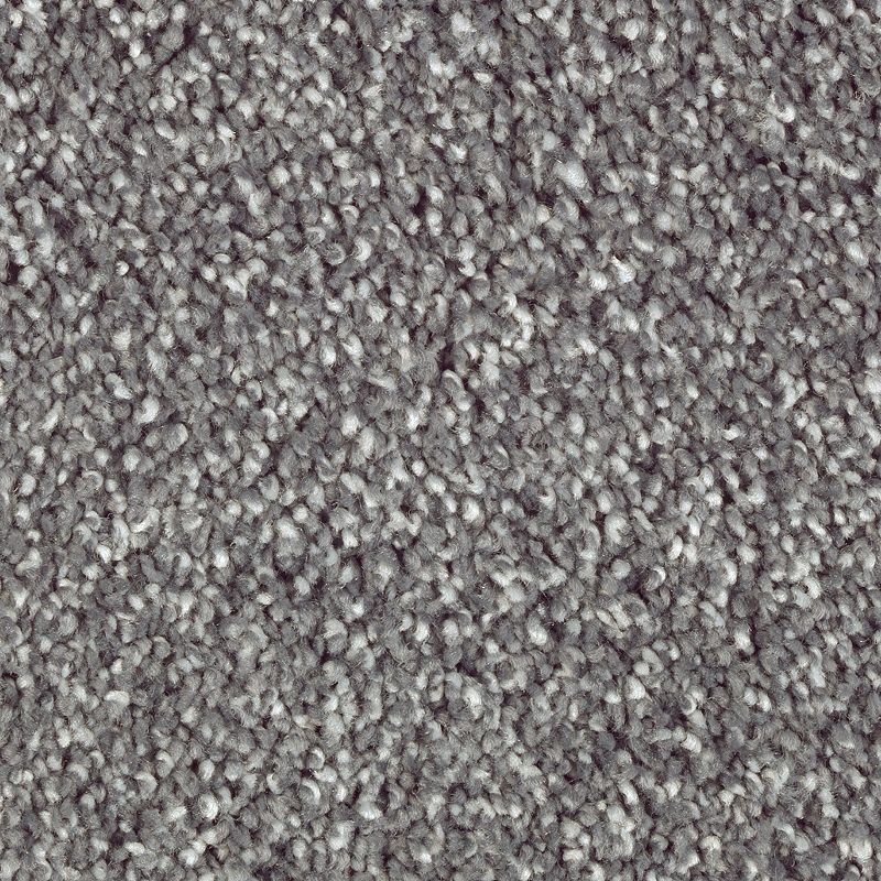 Natural Refinement I Waterfront Triexta Carpet - Textured