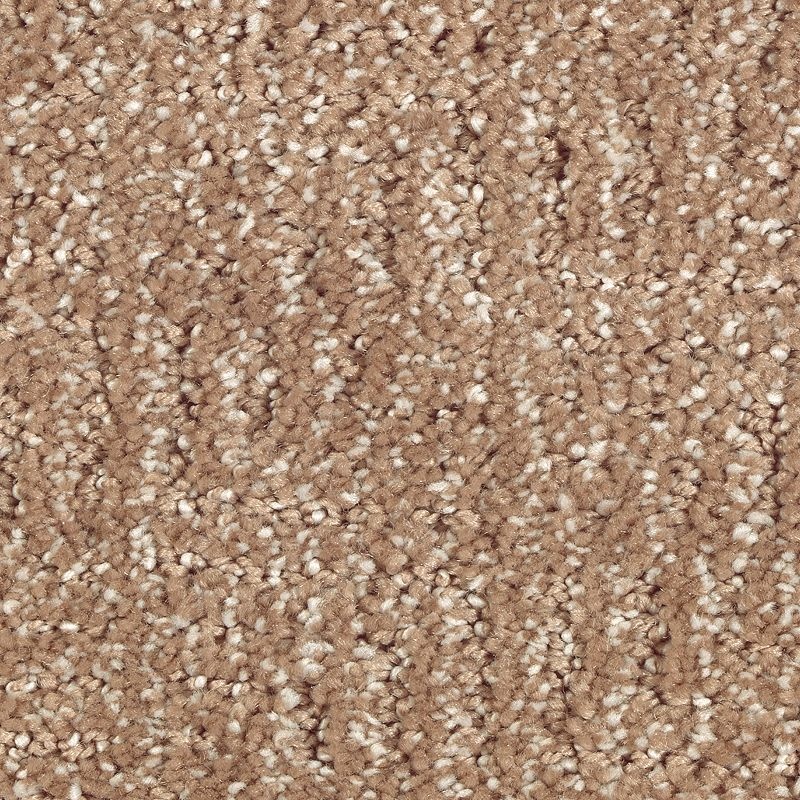 Natural Treasure Cat Tail Triexta Carpet - Pattern