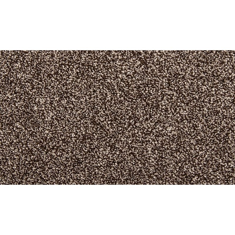 Dynamic Quality Ii Melted Chocolate Polyester Carpet - Textured