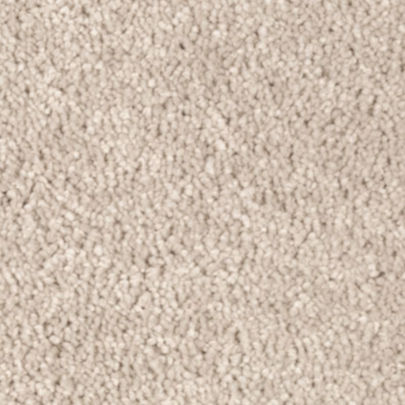 Natural Splendor Ii Parchment Triexta Carpet - Textured