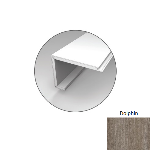 Explorer's Cove Dolphin Luxury Vinyl Stair Cap