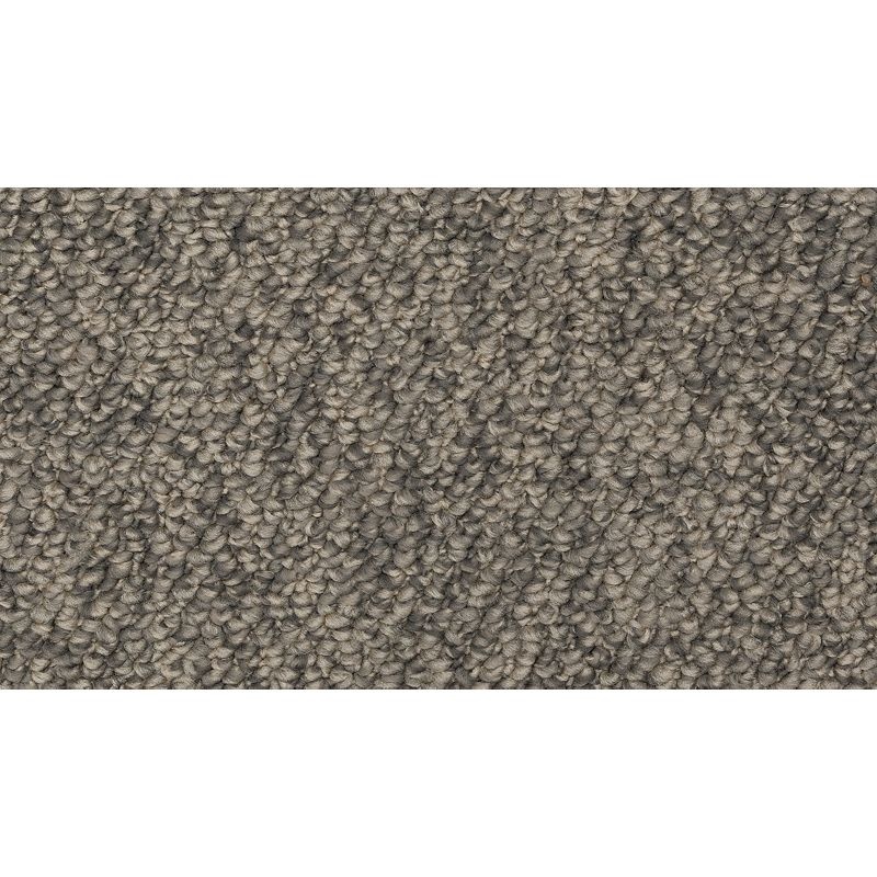 Enduring Amazement Notion Polyester Carpet