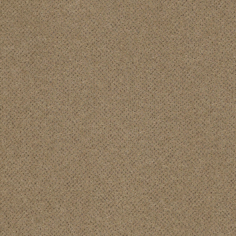 Future Generations Gen Y Nylon Carpet - Textured