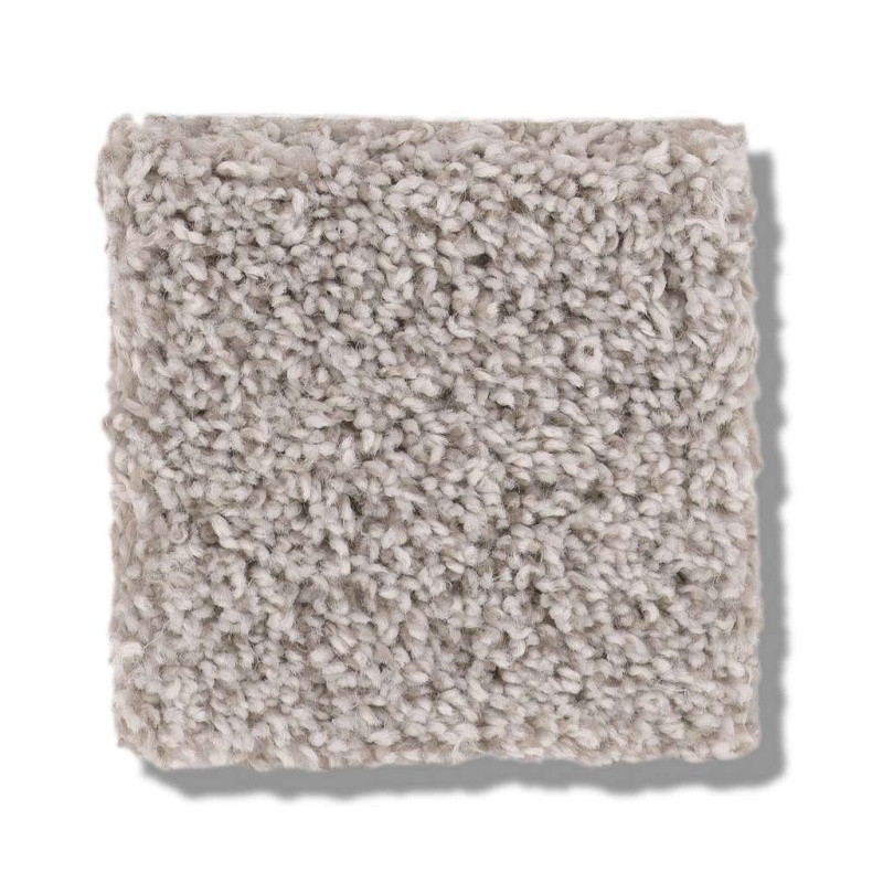 Pet Perfect Plus Calm Serenity Ii Split Sediment Polyester Carpet - Textured