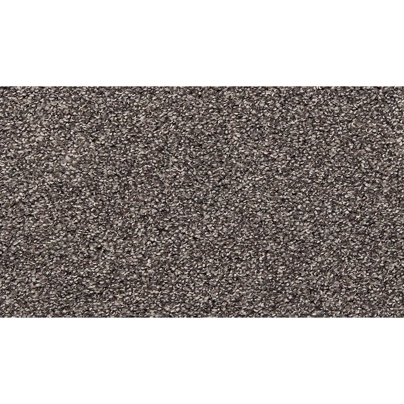 Lush Details Legend Triexta Carpet - Textured