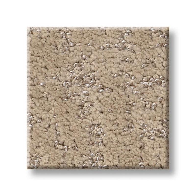 Pet Perfect Plus Home Within Worn Path Polyester Carpet