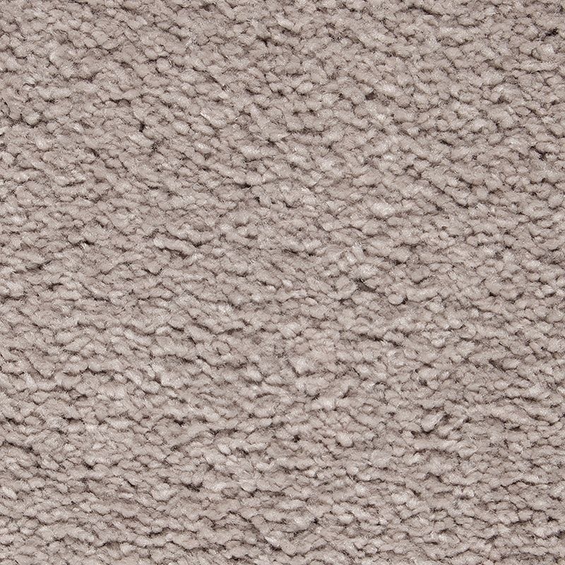 Peaceful Elegance Perfect Taupe Triexta Carpet - Textured