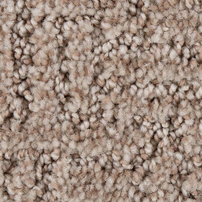 Stylish Edge Carmelita Polyester Carpet - Pattern