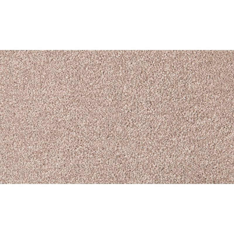 Pleasant Touch Soapstone Triexta Carpet - Textured