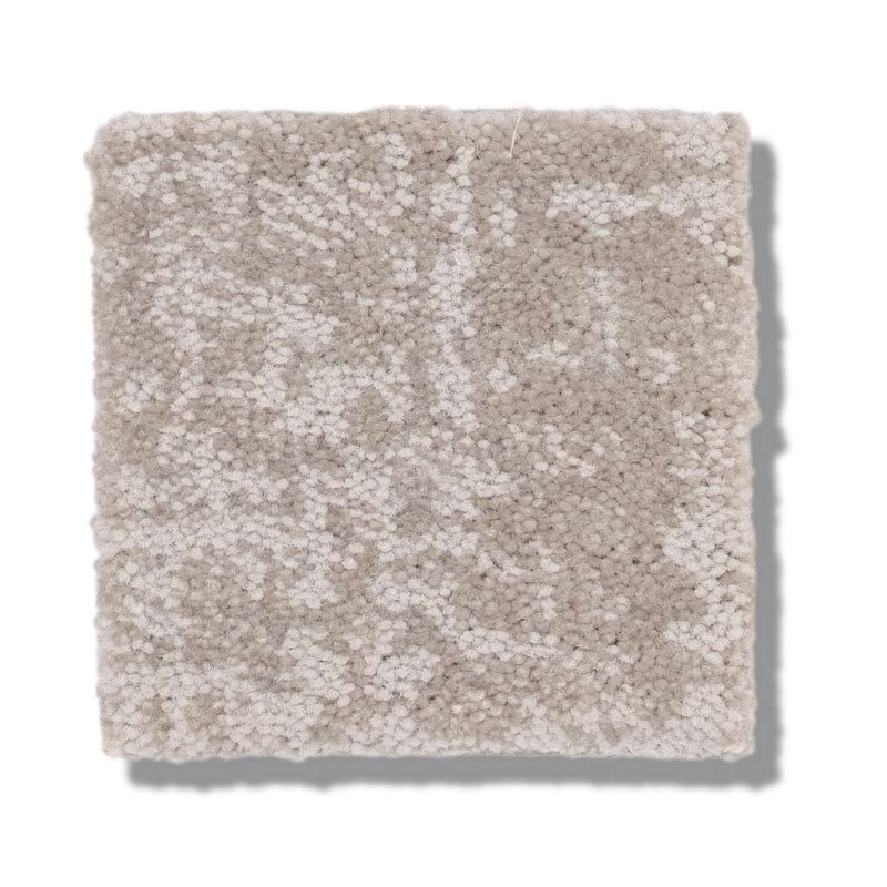 Caress By Shaw Fine Structure Baltic Stone Nylon Carpet - Pattern