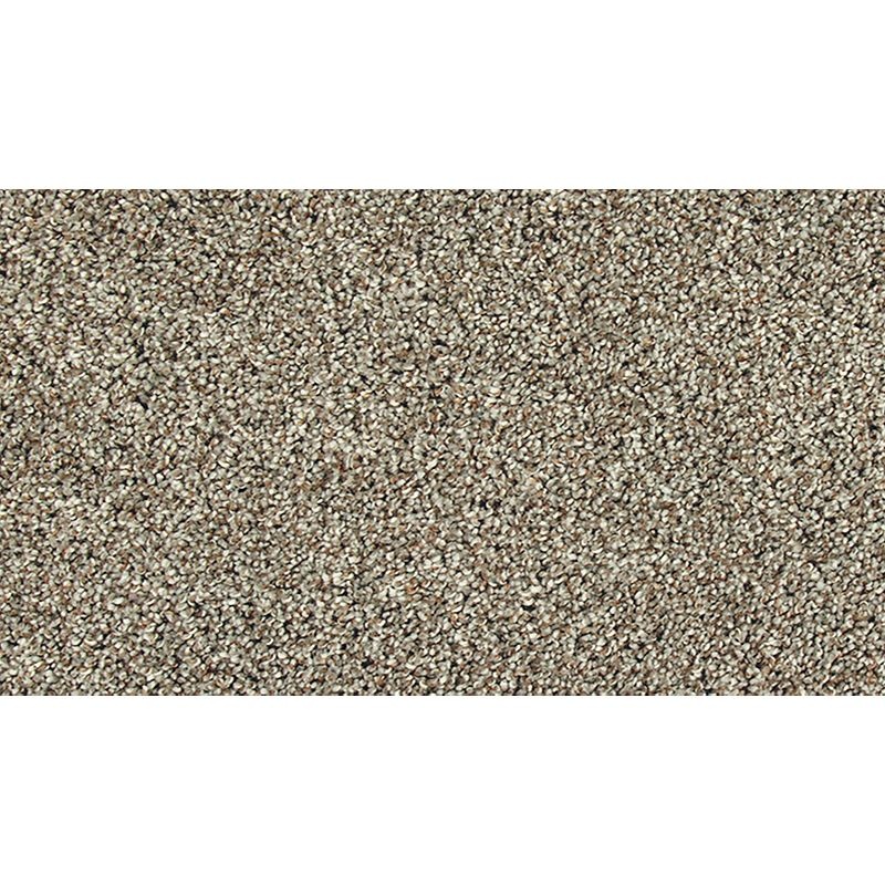 Soft Tempo Ii London Fog Polyester Carpet - Textured
