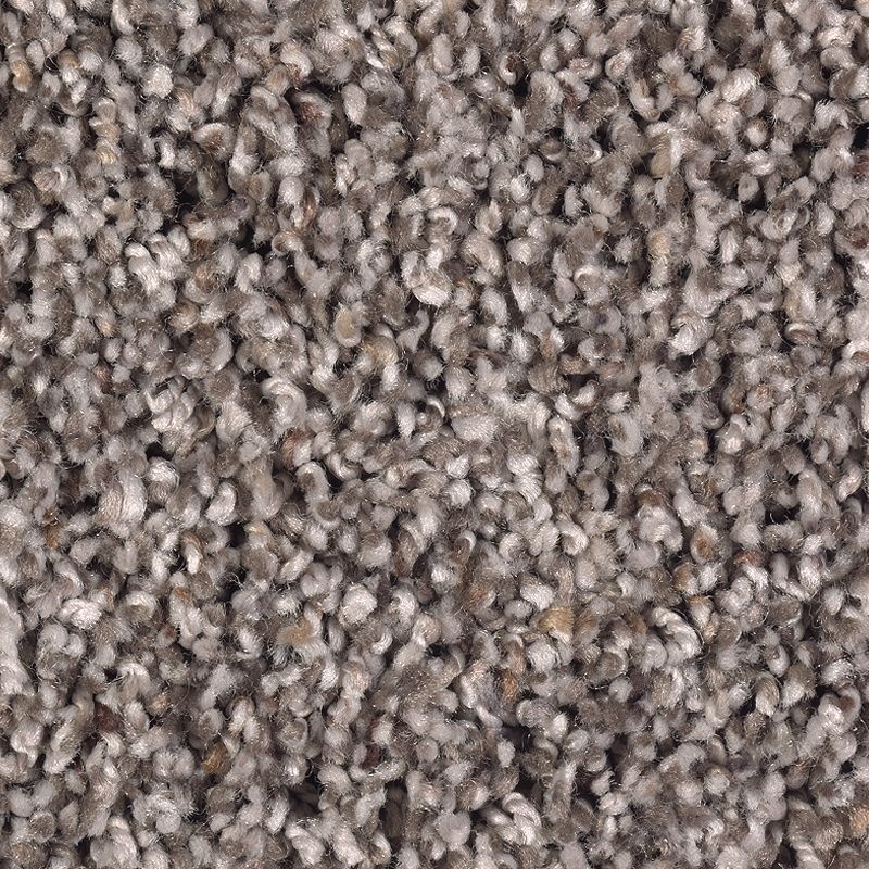 Soft Sensations Ii Chocolate Swirl Polyester Carpet