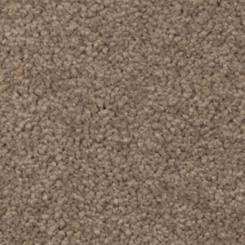 Natural Splendor Ii Cat Tail Triexta Carpet - Textured