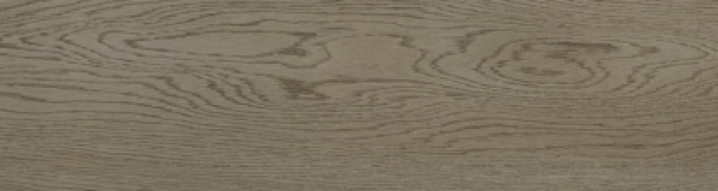 Heartwood Honey Porcelain Tile - Matte - 8" X 48"