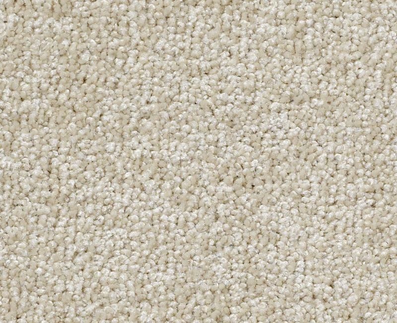 Great Choice Cream Puff Nylon Carpet - Textured