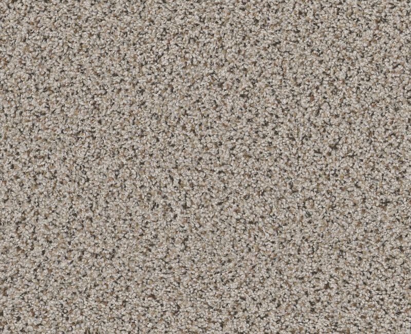 Vigorous Mix I Gentle Rain Nylon Carpet - Loop