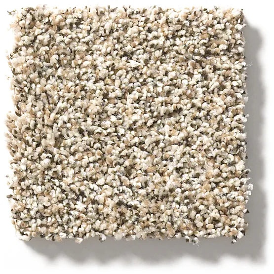 Carmel Coast Sunbaked Nylon Carpet - Textured