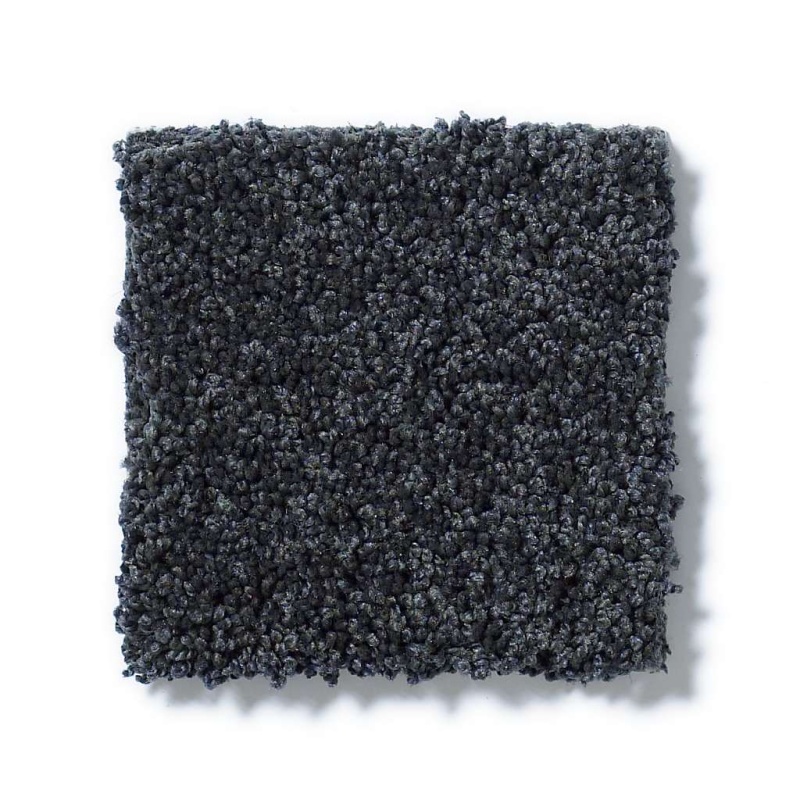 Inspired By Iii Indigo Nylon Carpet - Textured