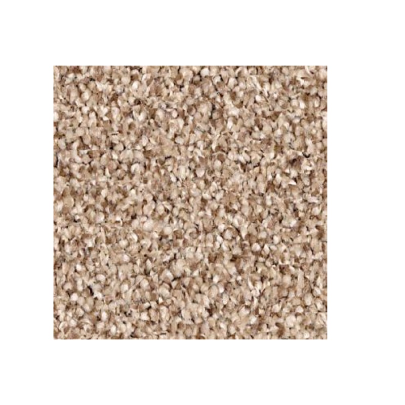 Anso It Goes Caravan Nylon Carpet - Textured