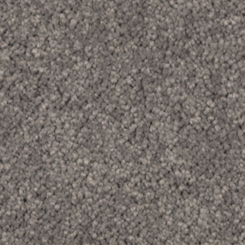 Natural Splendor I Evening Shadow Triexta Carpet - Textured