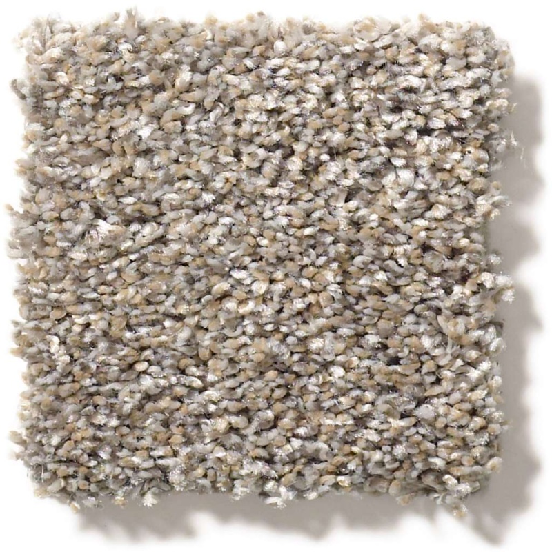 Simply The Best All Over It Ii Weathered Polyester Carpet - Textured