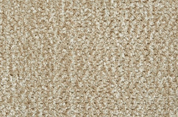 Silken Auburn Cream Polysilk Carpet - Textured