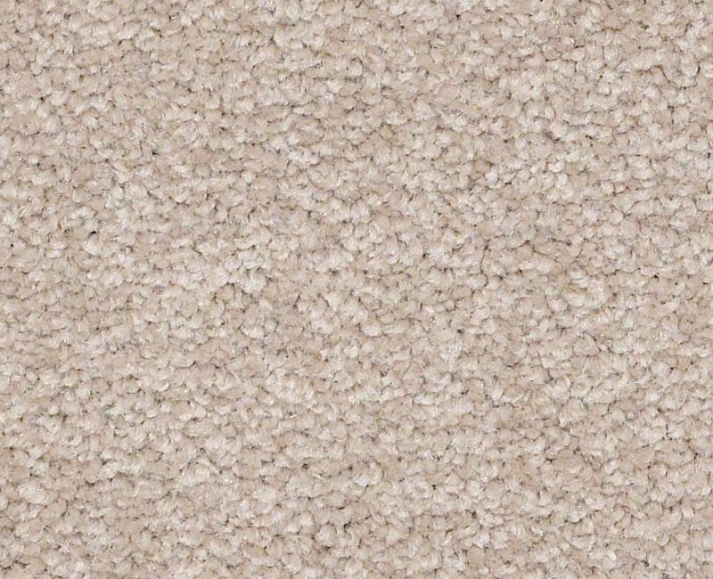 Magic Happens Pv Ii Balanced Beige Nylon Carpet - Textured