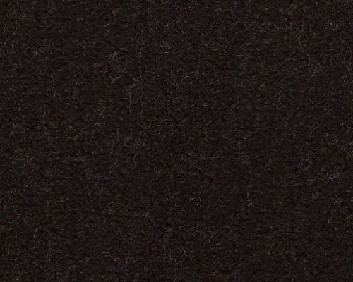 Emphatic Ii 30 Coffee Bean Nylon Carpet - Textured